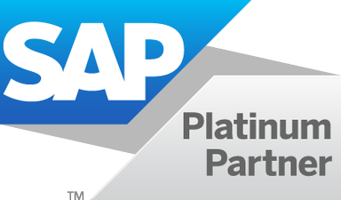 SAP partner